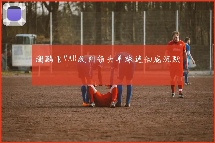 谢鹏飞VAR改判领头羊球迷彻底沉默