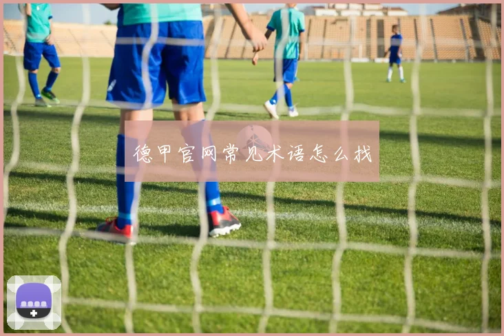 德甲官网常见术语怎么找