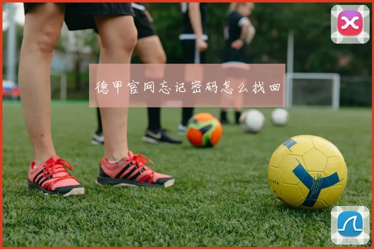 德甲官网忘记密码怎么找回